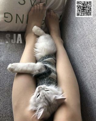 唐朝诡事录西行免费_蓝光高清完整版播放
